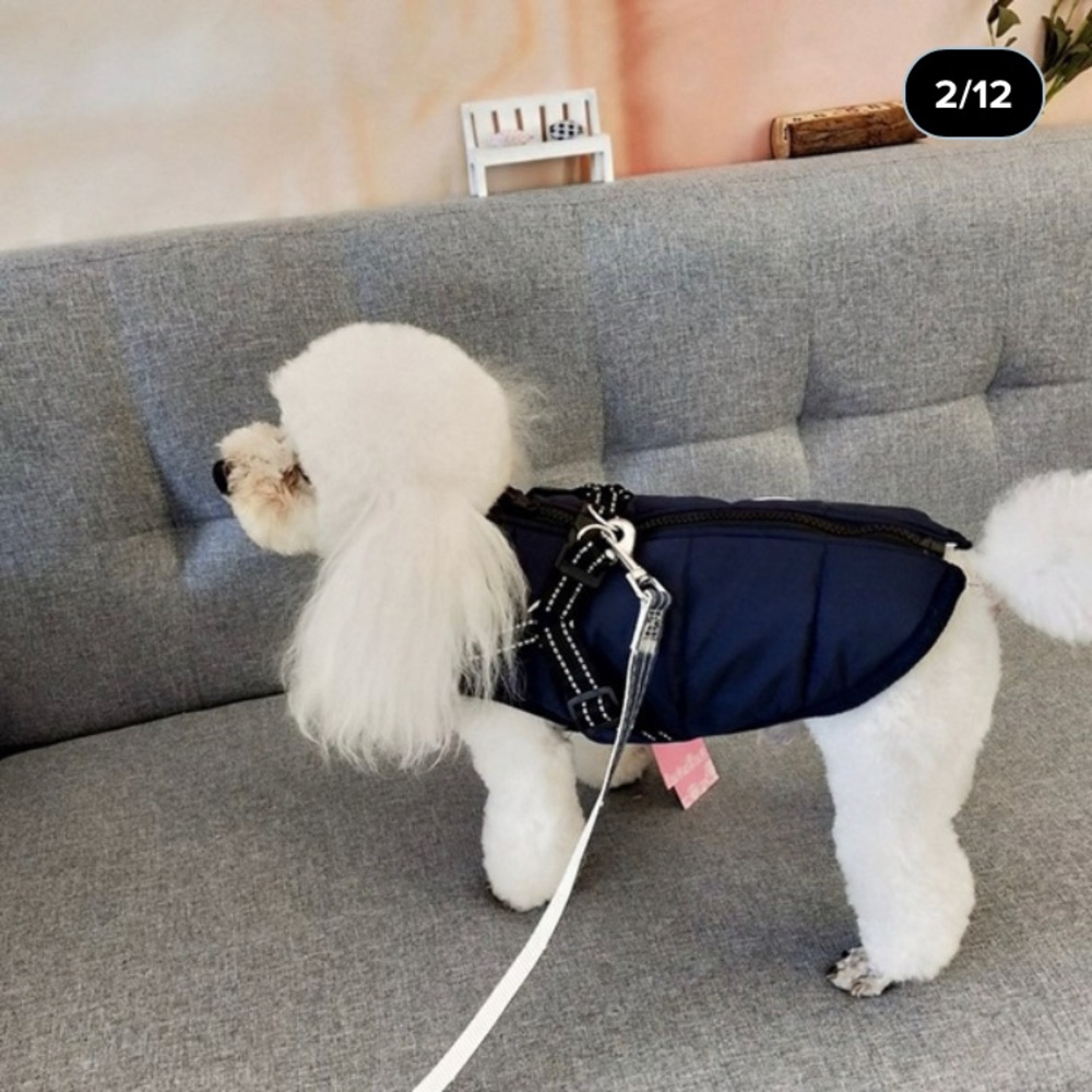 Dog navy jacket - Picture 5 of 8